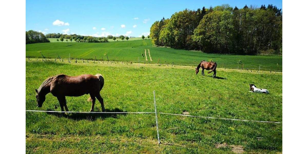 Grundstück Satow Miekenhagen - 195.000&euro; | Angebot:25716425