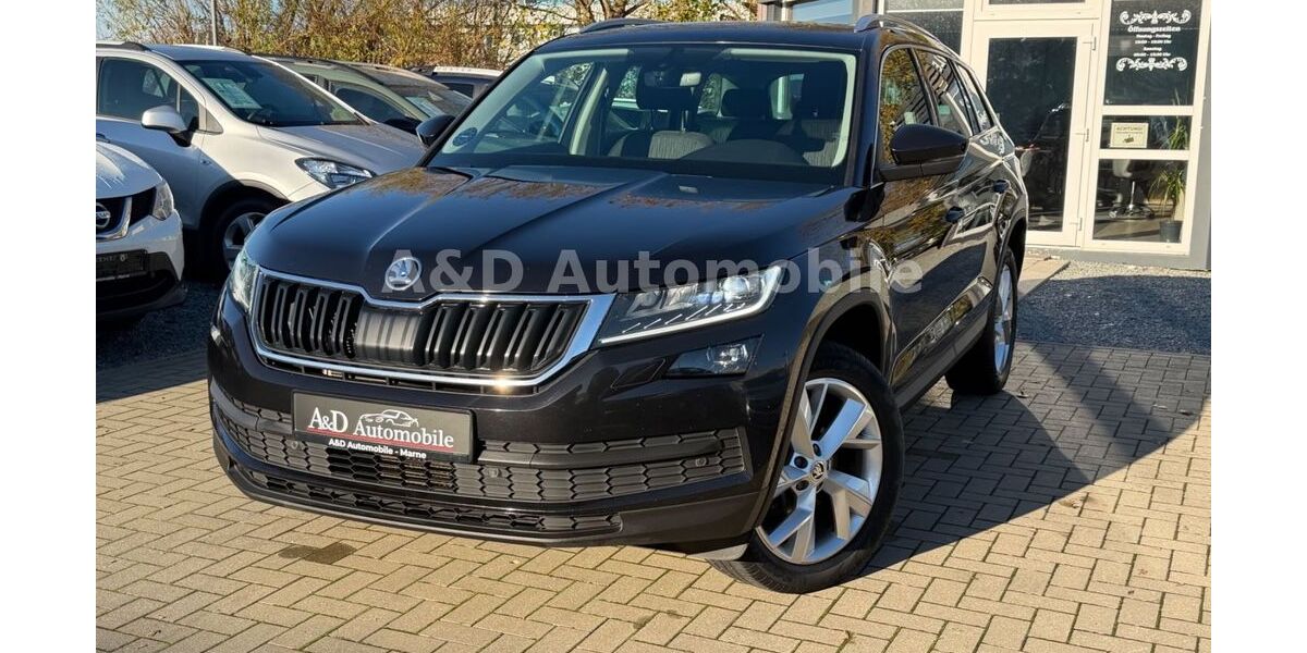 Skoda Kodiaq 161.282 km 20.890 &euro; Marne 25709