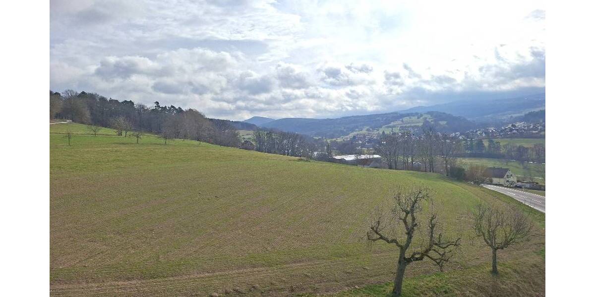Einfamilienhaus Ebersburg Schmalnau - 1 Zimmer, 220.000&euro; | Angebot:26433952