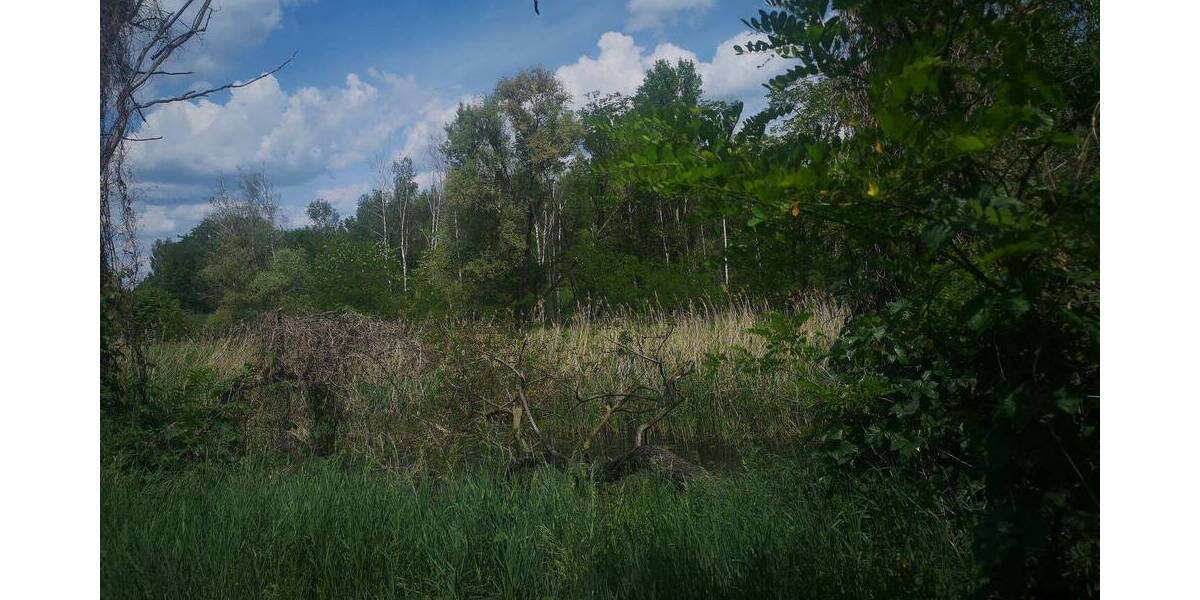 Grundstück Eilenburg - 2.999.000&euro; | Angebot:25958960