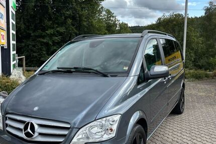 Mercedes Viano