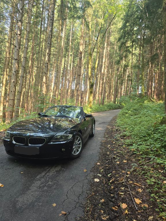 Z4