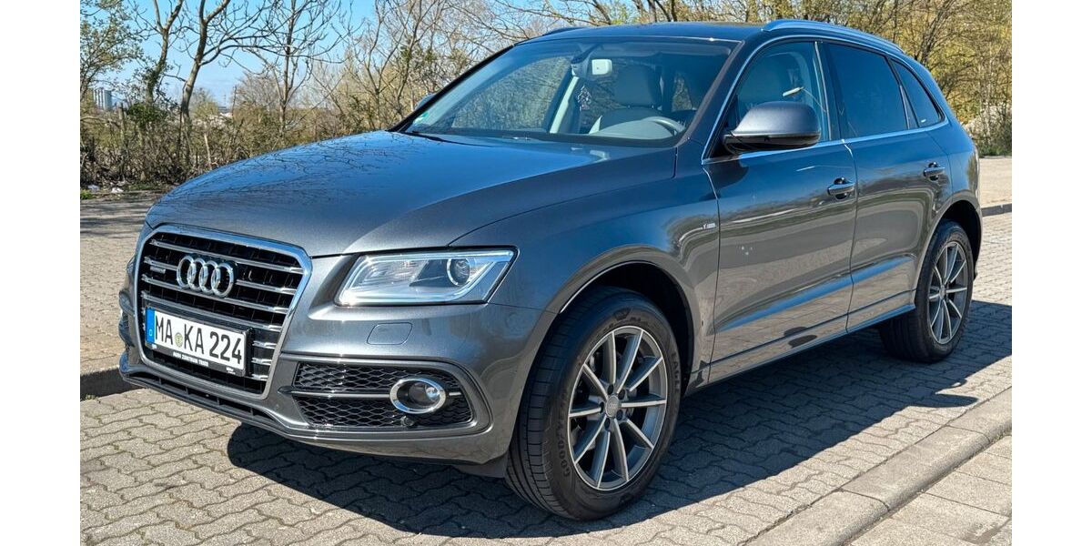 Audi Q5 137.994 km 17.700 &euro; Ludwigshafen am Rhein 67059