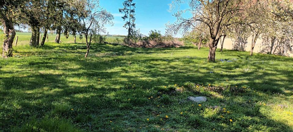 Einfamilienhaus Pritzwalk - 3 Zimmer, 100 m&sup2;, 139.000&euro; | Angebot:26163900