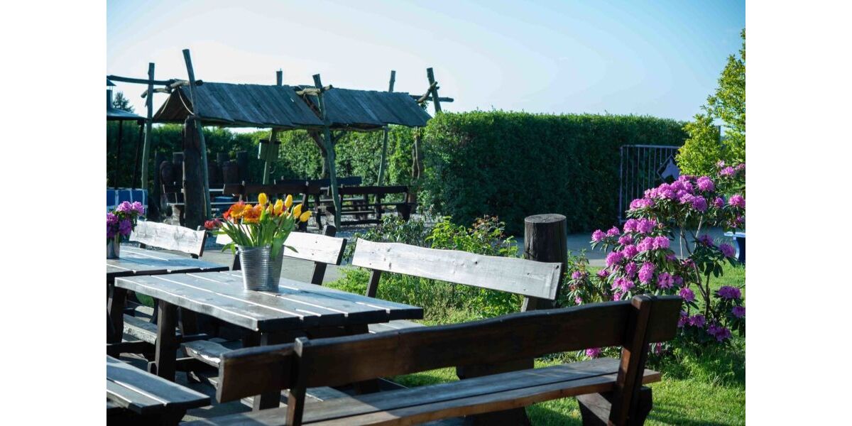 Provisionsfrei* Erfolgreicher Erlebnishof - stark nachgefragt, übernahmebereit - Gewerbeobjekt Sonnewalde | Angebot:25931826