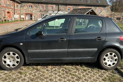 Peugeot 307 109.000 km 2.000 &euro; Vehlitz 39291