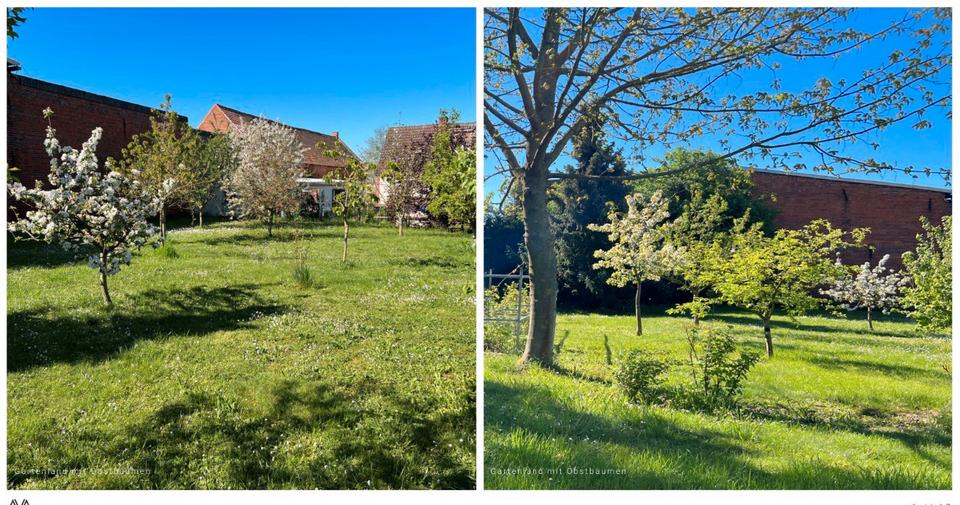 Einfamilienhaus Havelberg - 10 Zimmer, 333 m&sup2;, 489.000&euro; | Angebot:26971204