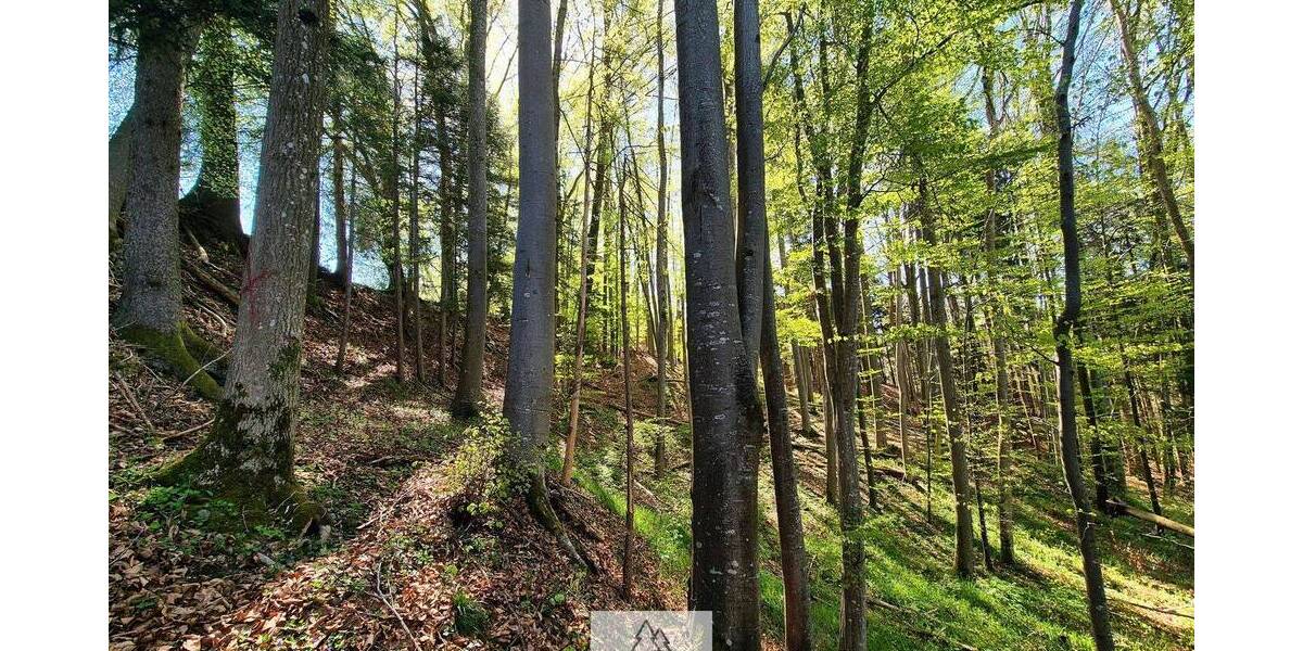 Grundstück Bergatreute - 119.000&euro; | Angebot:26798337