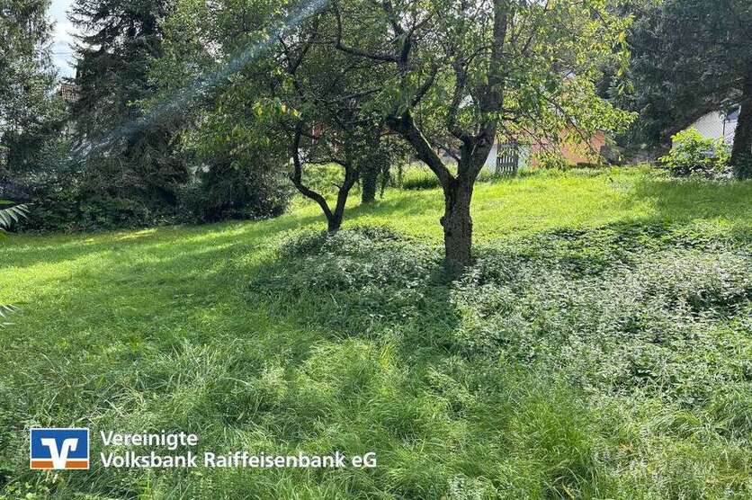 Grundstück zu verkaufen in Idar-Oberstein 50.000 € 1186 m²