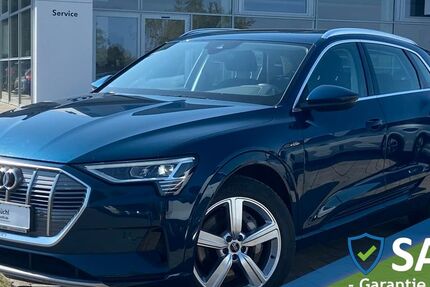 Audi e-tron 31.019 km 34.648 &euro; Schrobenhausen-Edelshsn. 86529