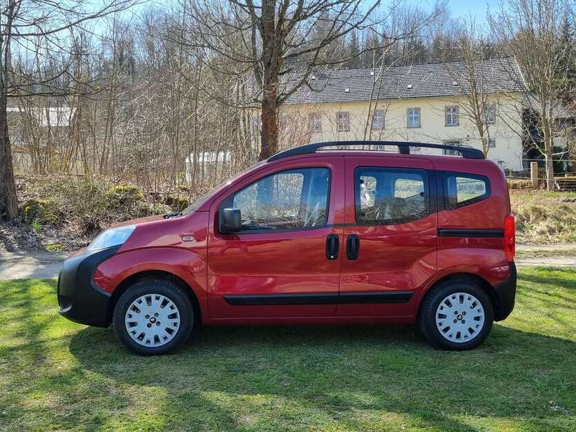 Nemo