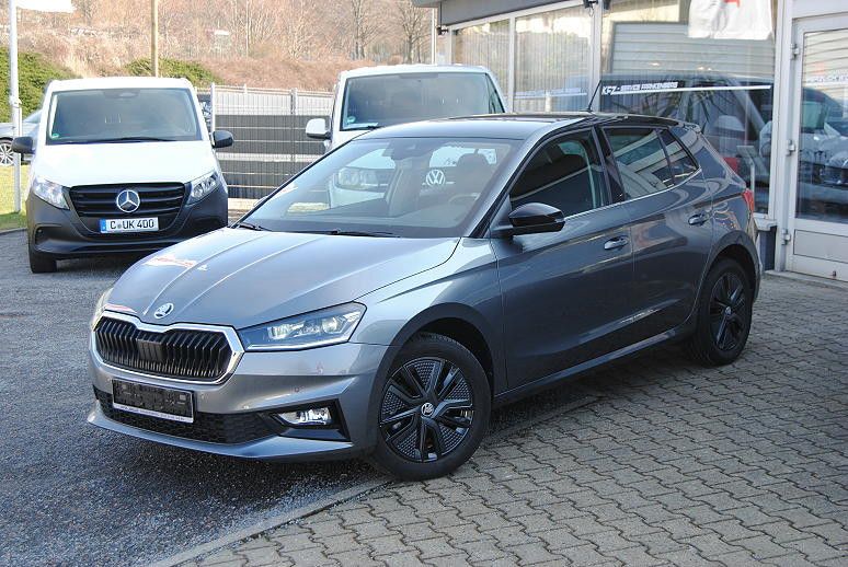 Skoda Fabia 35.600 km 17.990 &euro; Frankenberg 09669