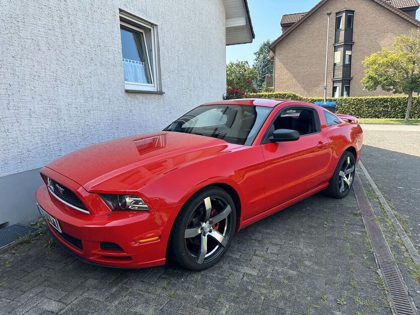 Mustang