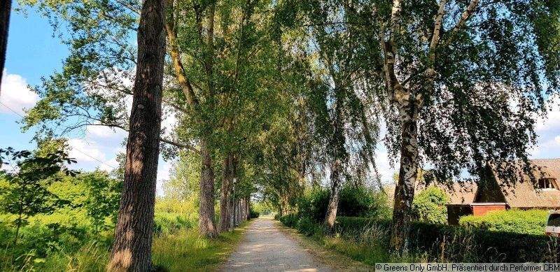 Einfamilienhaus Teterow - 2 Zimmer, 55 m&sup2;, 195.000&euro; | Angebot:25896730