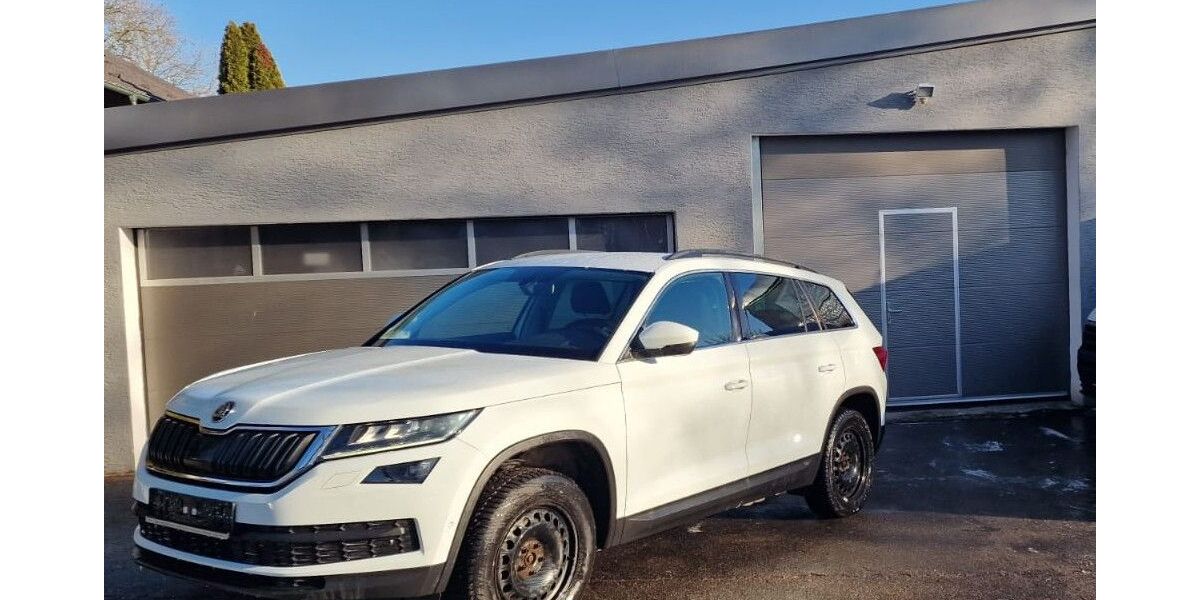 Skoda Kodiaq 234.550 km 14.300 &euro; Heilbronn 74080