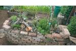 Grundstück Mühlhausen (Thüringen) - 3.200&euro; | Angebot:25578363