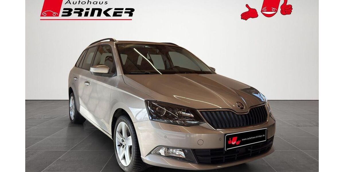 Skoda Fabia 66.433 km 10.430 &euro; Bielefeld 33649