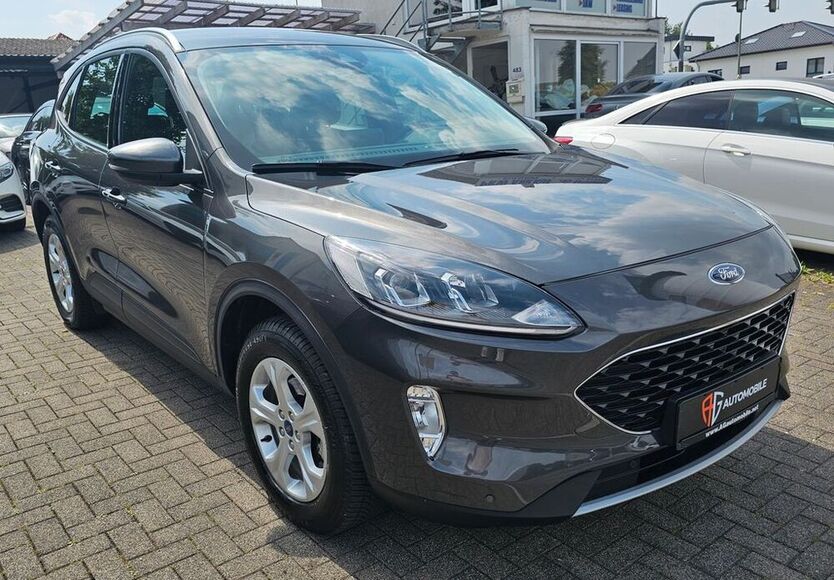 Kuga