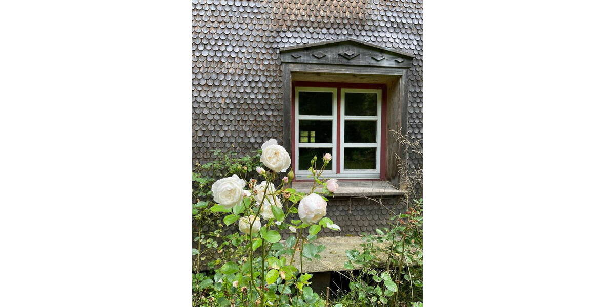 Bauernhaus, Landhaus Weiler-Simmerberg Ellhofen - 1 Zimmer, 440 m&sup2;, 980.000&euro; | Angebot:26224954