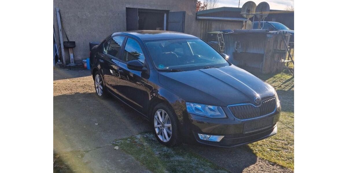 Skoda Octavia 175.000 km 7.499 &euro; Malchow 17213