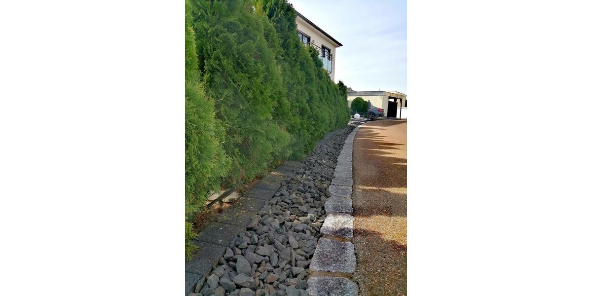 Modernes Wohnen mit Stil & Komfort: Stadtvilla mit Sauna & Garten 7.5 zimmer