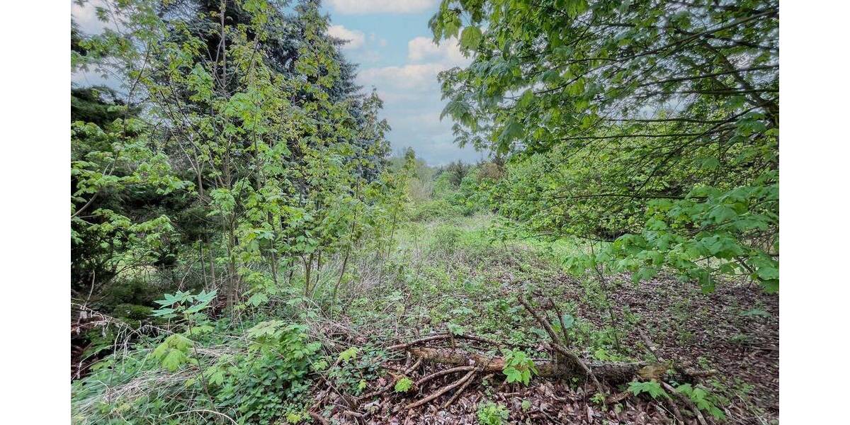 Grundstück Wettin-Löbejün Wettin - 26.500&euro; | Angebot:26799587