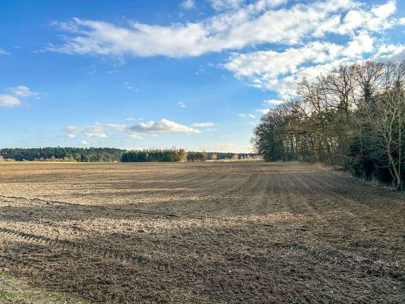 Grundstück in Reichertshofen 308.784 € 22056 m²