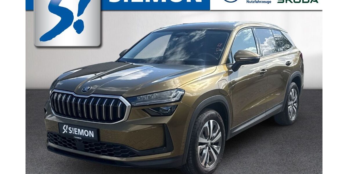 Skoda Kodiaq 8.376 km 42.930 &euro; Münster 48153