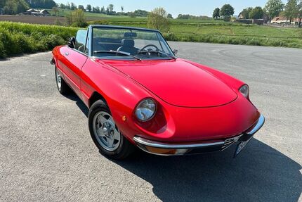 Alfa Romeo Spider
