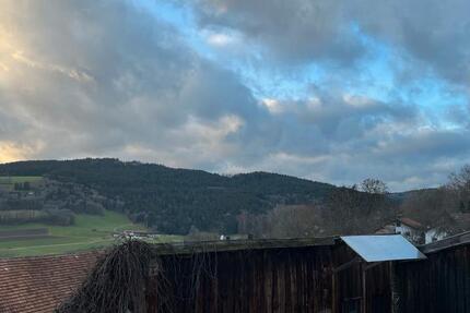 Doppelhaushälfte mit Dachterasse und traumhaftem Ausblick 4 zimmer