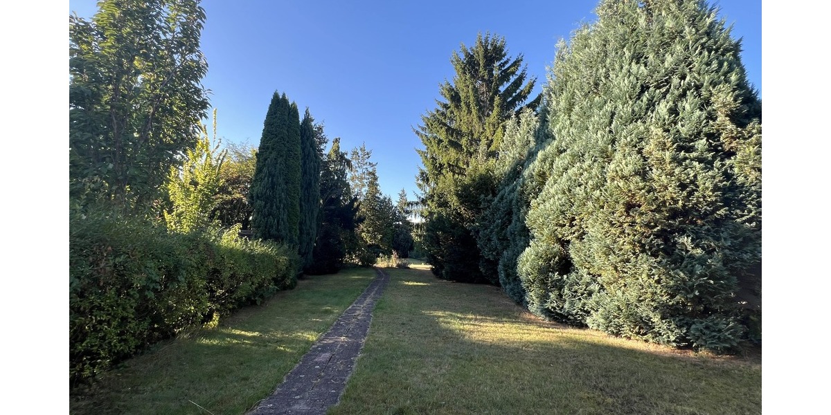 Doppelhaushälfte mitten in Himmelsthür 7 zimmer