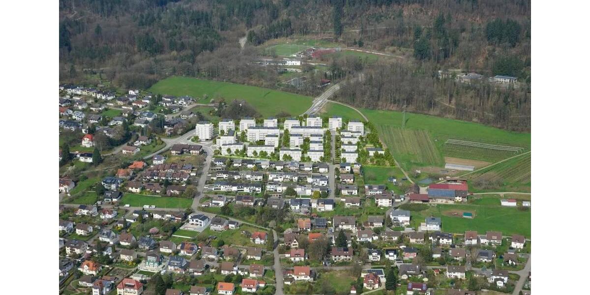 Reihenhaus Bad Säckingen - 5.5 Zimmer, 150 m&sup2;, 2.300&euro; | Angebot:24536032