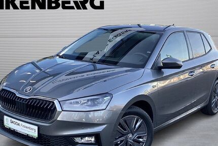 Skoda Fabia 4.500 km 21.980 &euro; Verden 27283