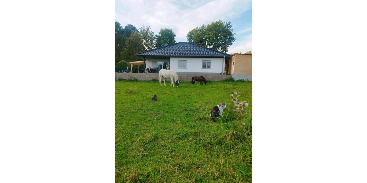 Haus mit PferdehaltungTierhaltung 4 zimmer