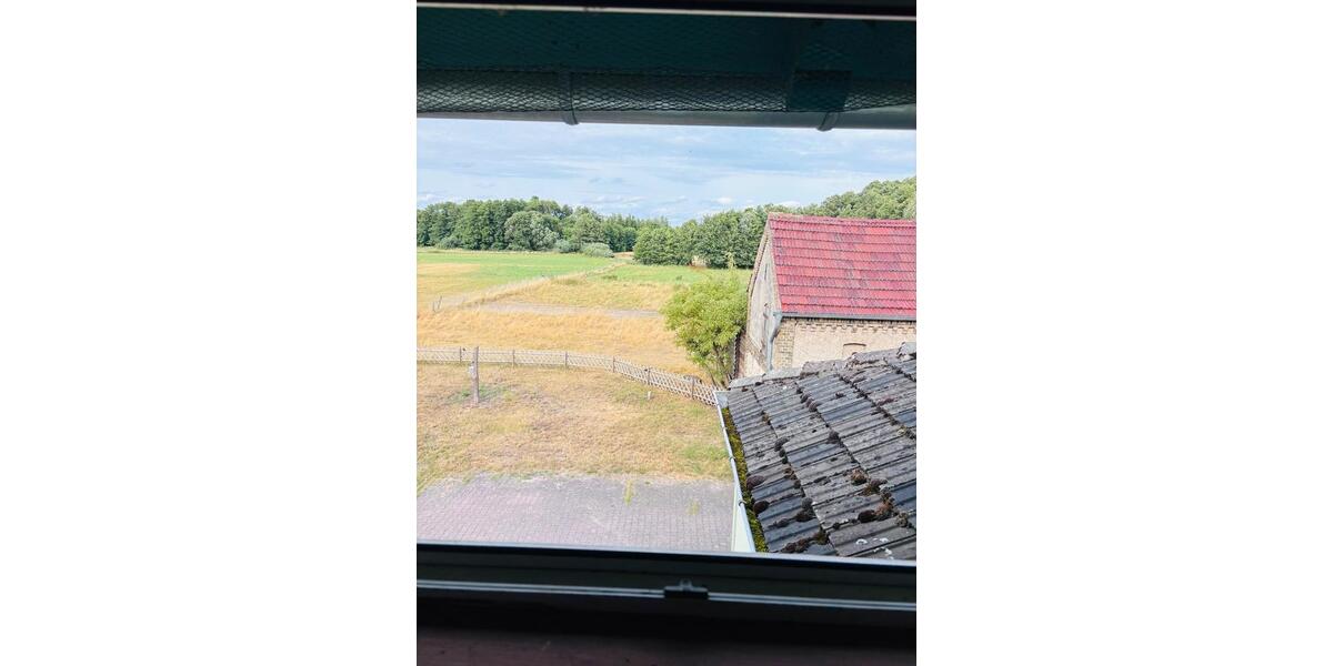 Bauernhaus, Landhaus Groß Kreutz (Havel) - 12 Zimmer, 200 m&sup2;, 480.000&euro; | Angebot:27072741