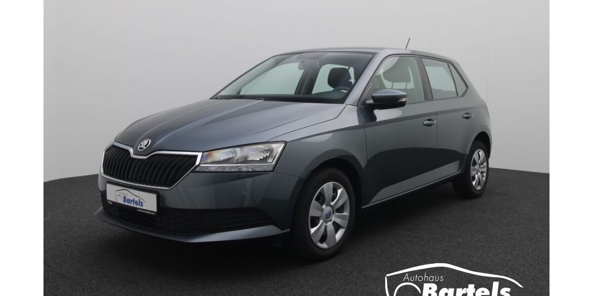 Skoda Fabia 79.246 km 9.190 &euro; Sögel 49751