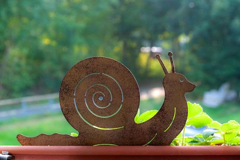 Wohnung zum Kaufen in Burscheid 259.000 € 78 m² 3 zimmer