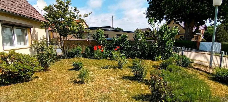 Einfamilienhaus Pritzwalk - 3 Zimmer, 100 m&sup2;, 134.000&euro; | Angebot:26985144