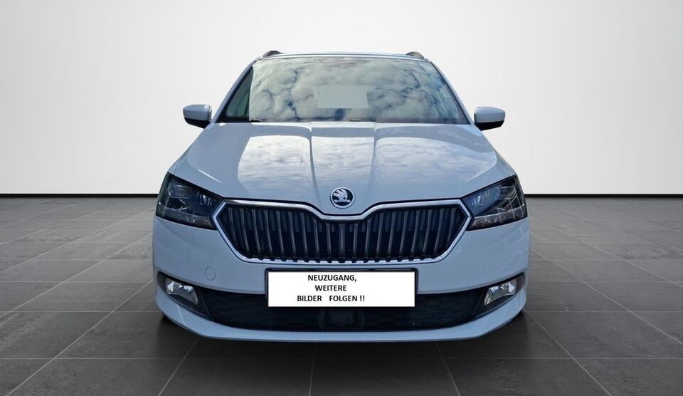 Skoda Fabia 71.000 km 16.689 € Friedland 37133