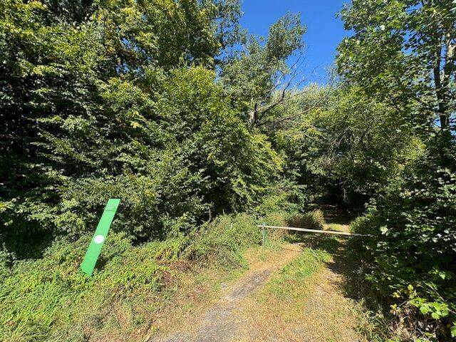 Zimmer Plettenberg Ohle - 3 Zimmer, 71 m&sup2;, 500&euro; | Angebot:26258032