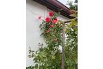 Bauernhaus, Landhaus Bad Freienwalde (Oder) - 3.5 Zimmer, 75 m&sup2;, 225.000&euro; | Angebot:27086756
