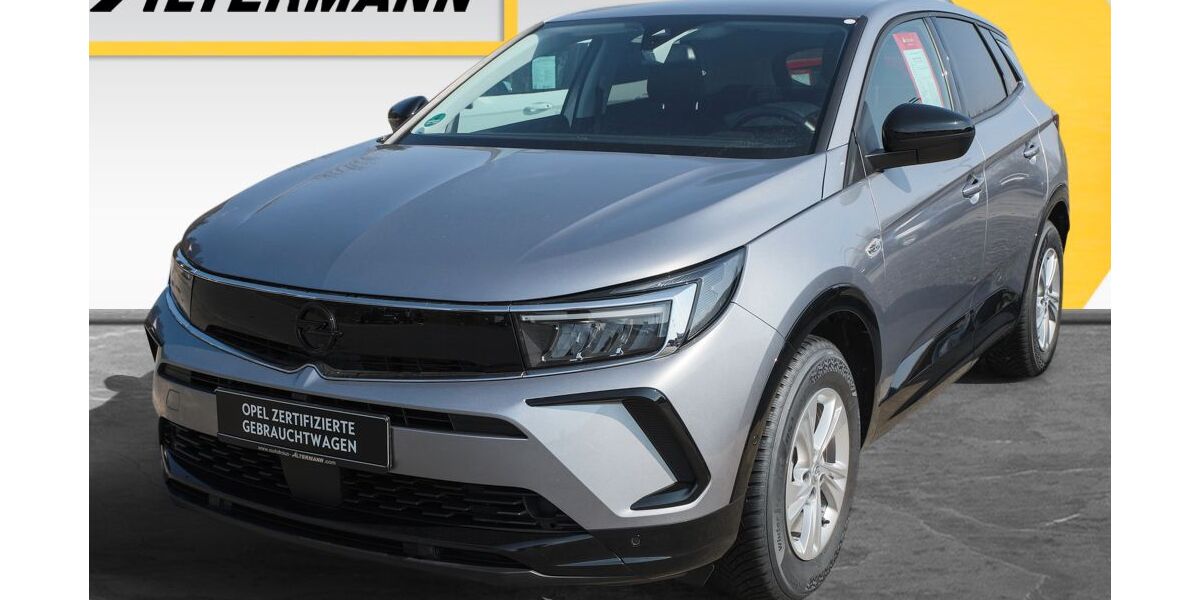 Opel Grandland (X) 17.980 km 18.890 &euro; Neuhaus 98724
