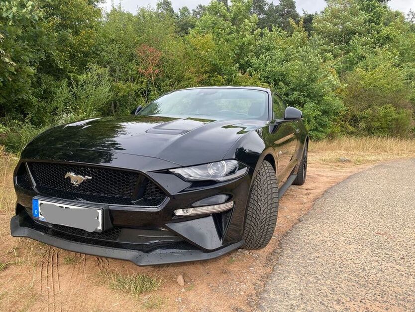 Mustang