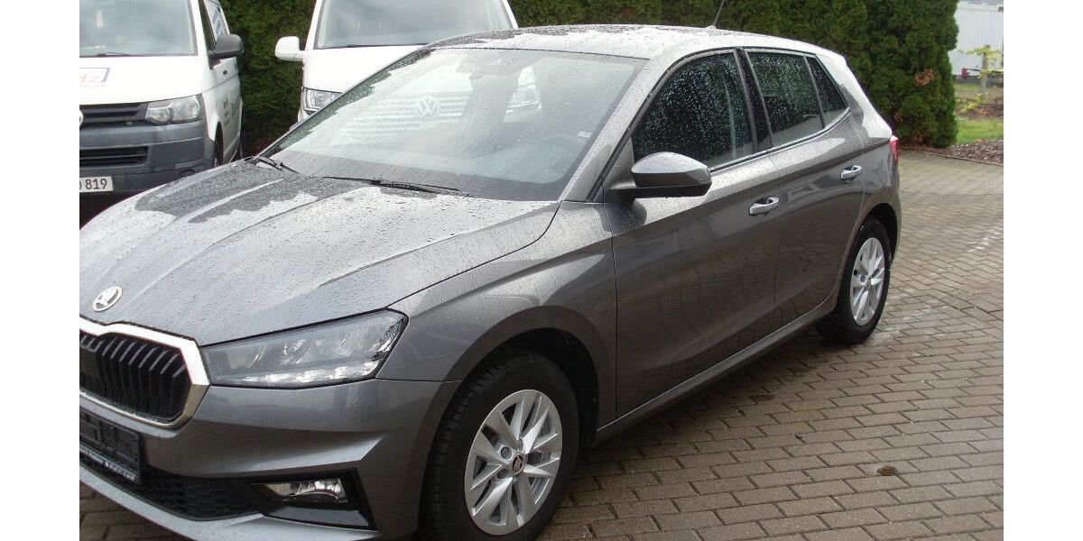 Skoda Fabia 36.990 km 13.800 € Waldheim 04736