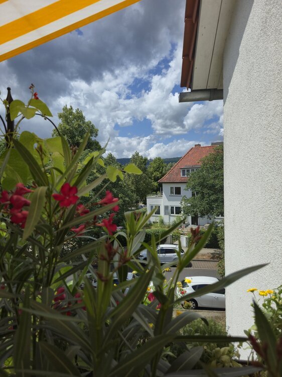 Kassel, vord. Westen, 3 ZKB, 64m² mit Wohnrecht! 3 zimmer