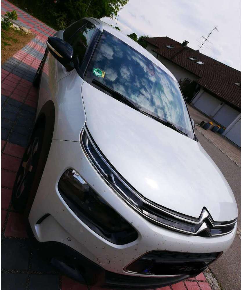 C4 Cactus