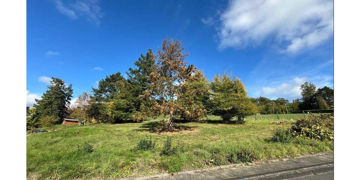 Grundstück Sinn - 180.000&euro; | Angebot:25667780