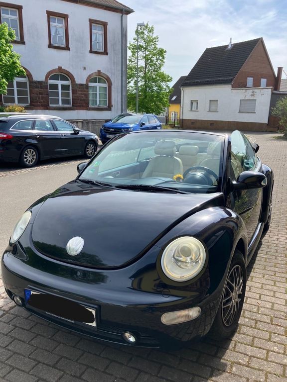 Beetle