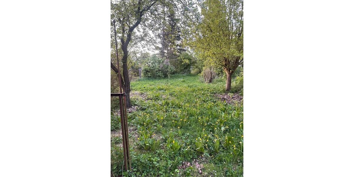 Bauernhaus, Landhaus Bad Freienwalde (Oder) - 3.5 Zimmer, 75 m&sup2;, 260.000&euro; | Angebot:25901285