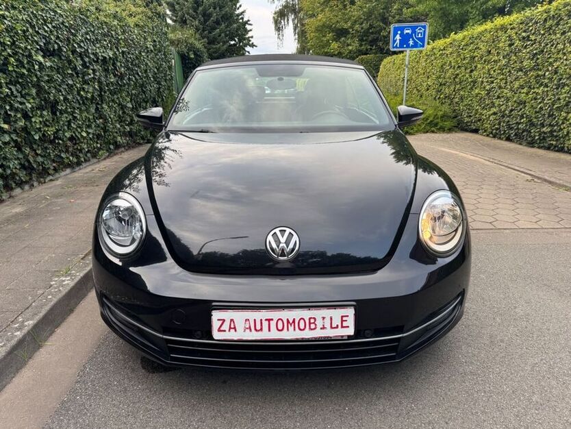 Beetle